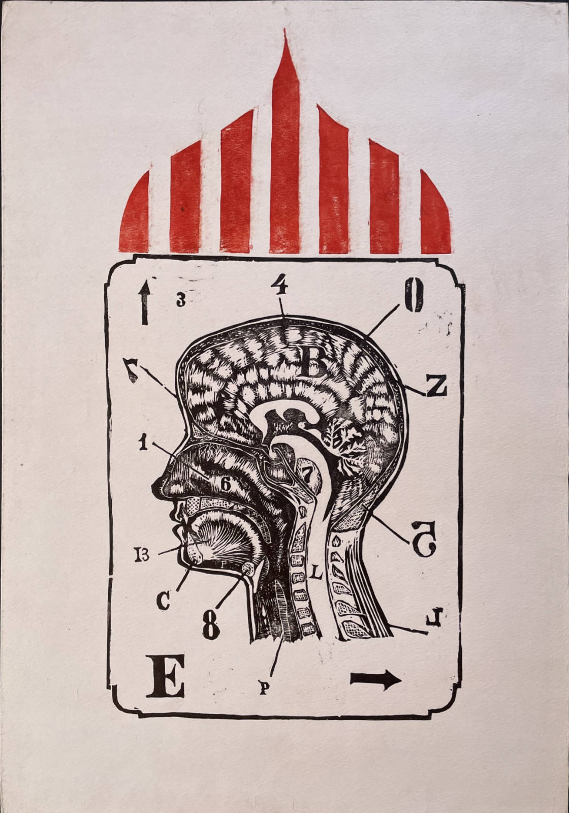 Grafika przedstawiająca rycinę przekroju profilowego głowy człowieka. Na zewnątrz litery i cyfry z odnośnikami do elementów anatomicznych głowy. Grafika otoczona pionową ramką z zaokrąglonymi rogami co tworzy formę przypominającą pionową kartę z figurą. Nad "kartą" widnieje element z czerwonych pionowych pasków tworzący figurę cebulastej kopuły osadzonej w dolnej części płaską krawędzią na opisanej wcześniej karcie.